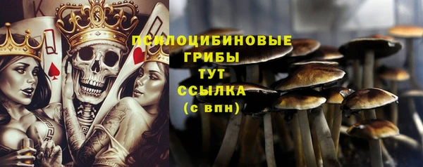 соль ск Арсеньев