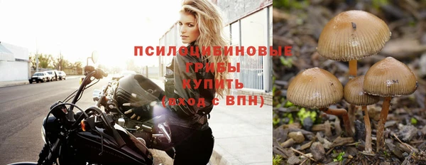 jwh Аркадак